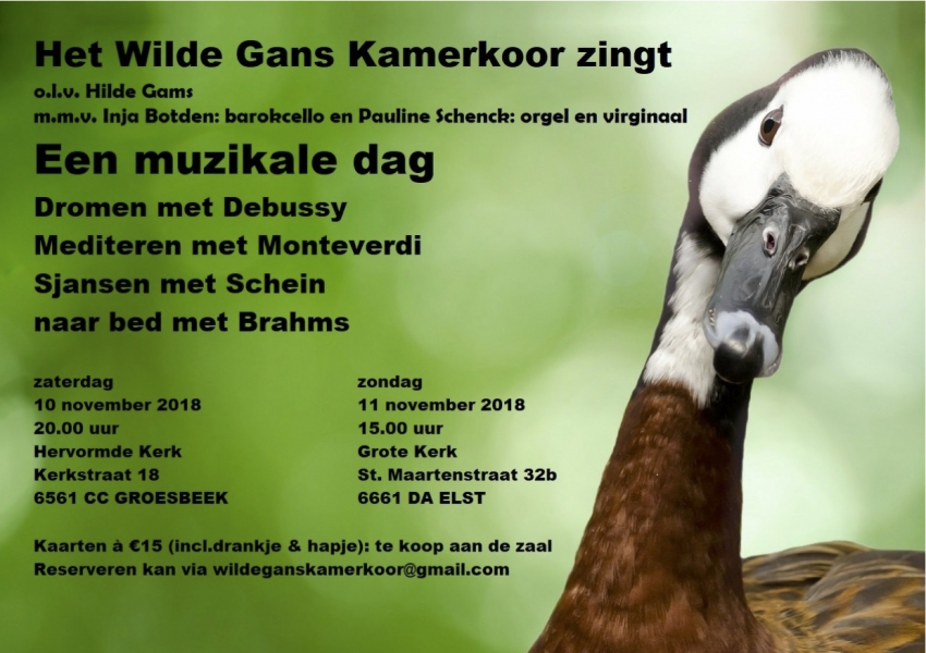 WGK-Een_muzikale_dag